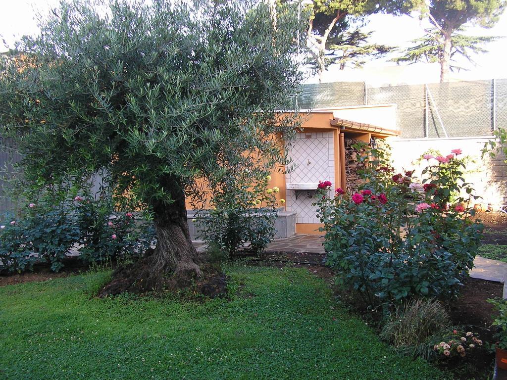 Al Vecchio Olivo Bed & Breakfast Frascati Exterior photo