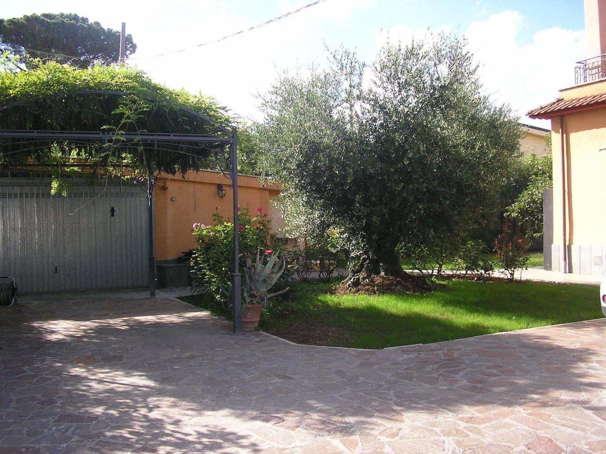 Al Vecchio Olivo Bed & Breakfast Frascati Exterior photo